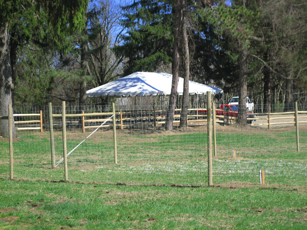 Fencing and tent