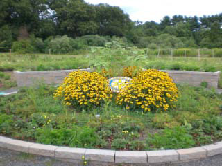Enfield Common Grounds Rotary Garden