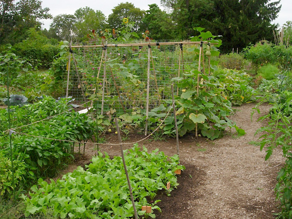 Groton Community Garden